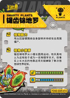 锯齿锦地罗-资料图