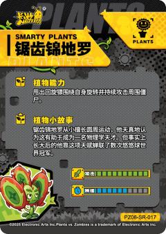 锯齿锦地罗-资料图