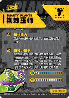 荆棘巫师-资料图