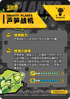 芦笋战机-资料图