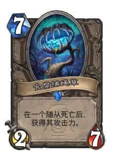 食腐捕蝇草
