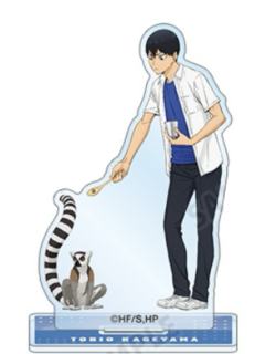 影山飞雄1-东武动物园联名第三弹亚克力立牌