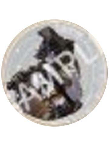 愚人金-庄园探险队第一弹正比金属纪念币