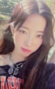 kakao预售 叶 ver.A