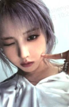 特别版专卡6 ver.B