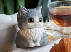 坐坐蓝猫加白-资料图