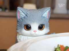 坐坐蓝猫加白-资料图