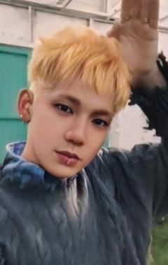 knp预售 脆