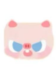 猪猪
