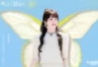 女推收藏卡 ver.14
