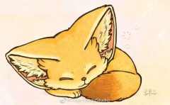 眠狐-原色-资料图