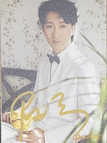 陈志SonnyBoy小卡