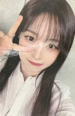 sw预售2