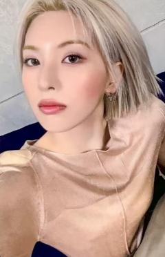 sw预售5