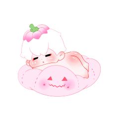 樱花南瓜
