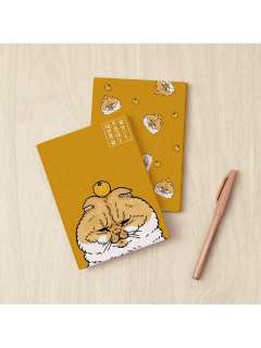 不可思议的猫世界书衣系列-资料图