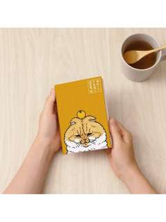 不可思议的猫世界书衣系列-资料图