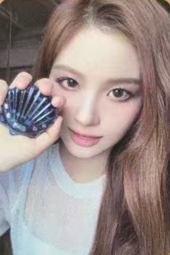 shell版专卡3