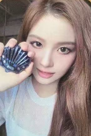 shell版专卡3