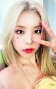 24台历固配 ver.D