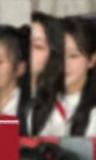 四期会员礼 粒领