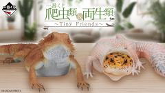 一番赏 爬虫类&两栖类 Tiny Friends