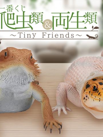 一番赏 爬虫类&两栖类 Tiny Friends