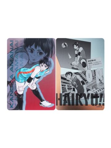 天内叶歌-JSC原画闪卡