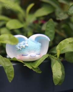 风信子花-资料图