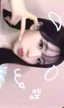ms7.0 2 宠物镜头ver.
