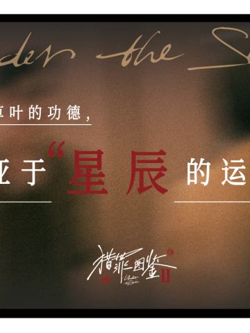 猎罪真言-台词卡