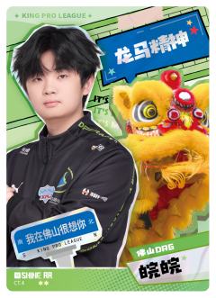 佛山DRG.皖皖