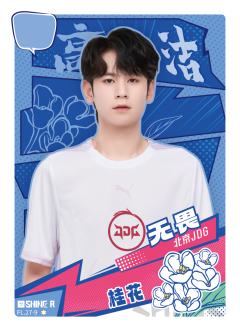 北京JDG.无畏