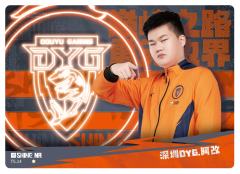 深圳DYG.阿改