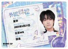 北京WB.星宇