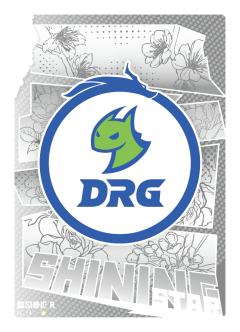 佛山DRG