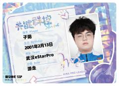 武汉eStarPro.子阳