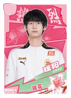 北京WB.暖阳