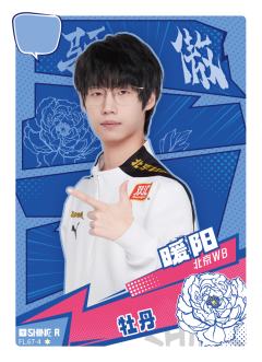 北京WB.暖阳