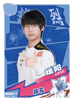 北京WB.暖阳