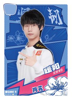 北京WB.暖阳