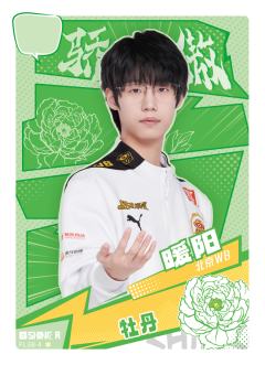 北京WB.暖阳