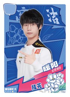 北京WB.暖阳