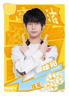 北京WB.暖阳