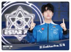 武汉eStarPro.花海