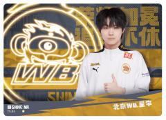 北京WB.星宇
