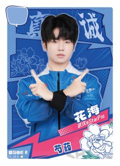 武汉eStarPro.花海