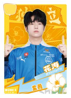 武汉eStarPro.花海