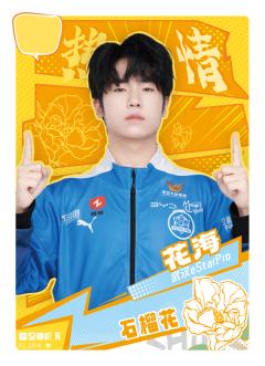 武汉eStarPro.花海