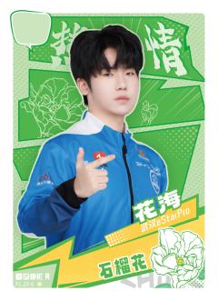 武汉eStarPro.花海